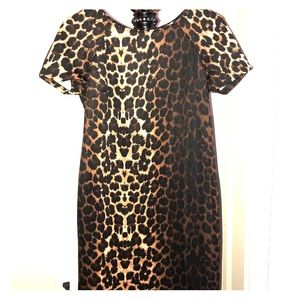 Leopard Print Cocktail Dress